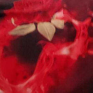 Meet your Posher, Dee